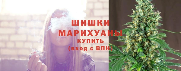 spice Волоколамск