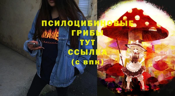 PSILOCYBIN Волосово
