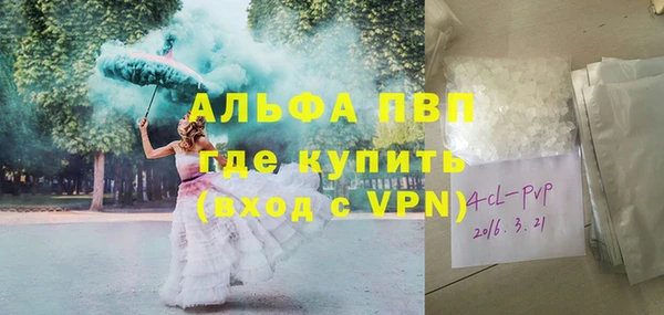 PSILOCYBIN Волосово