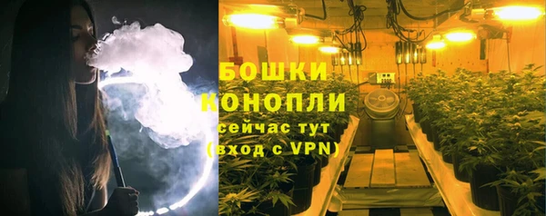 PSILOCYBIN Волосово