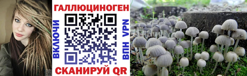 дарнет шоп  Новокузнецк  Галлюциногенные грибы Magic Shrooms 
